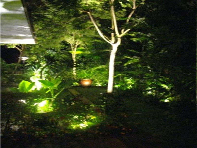 image009